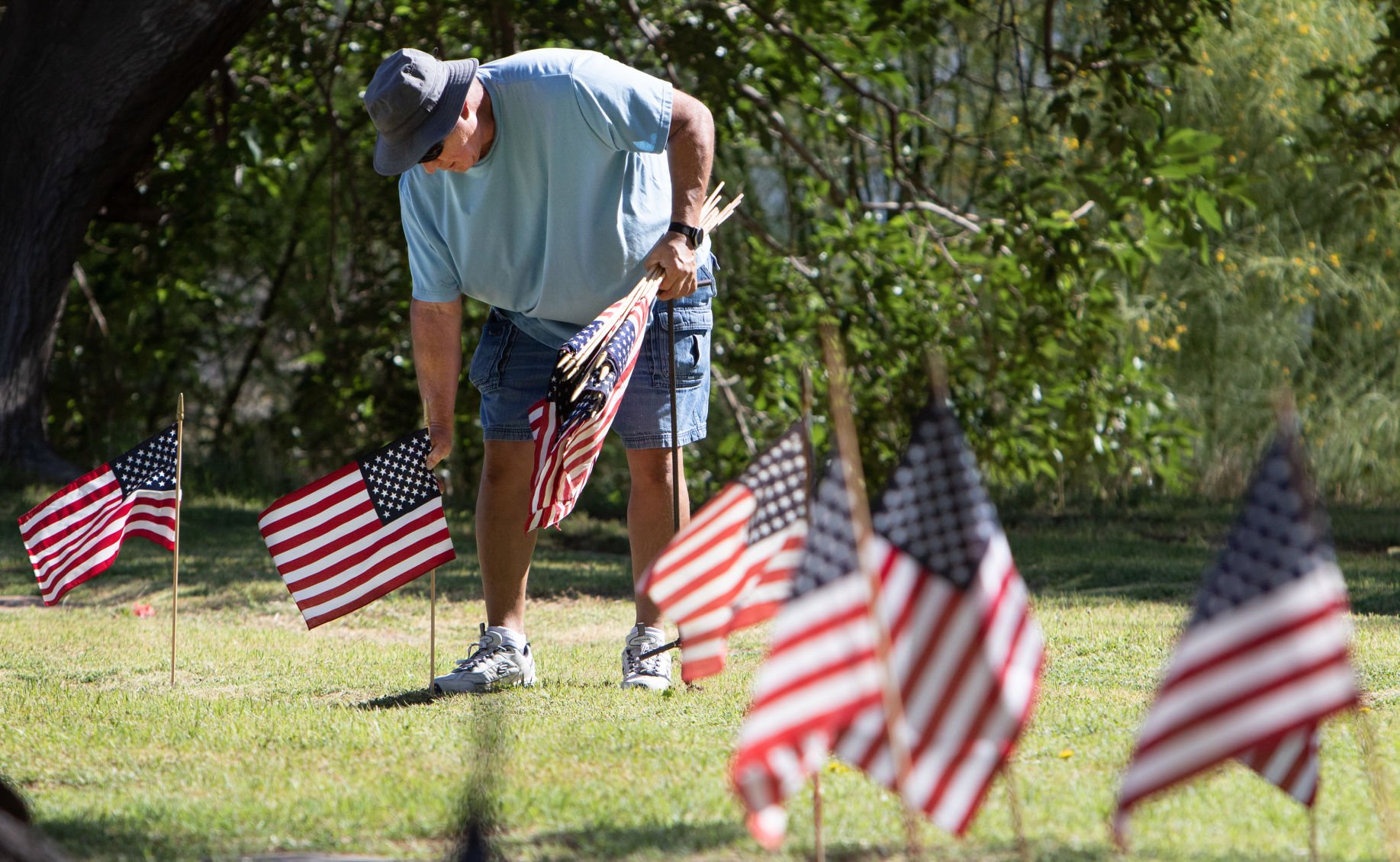 Memorial Day flags